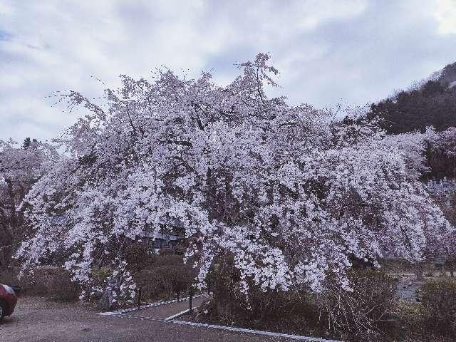 金嶽山 法善寺の参拝記録5