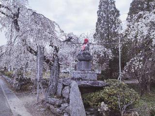 金嶽山 法善寺の参拝記録(さとみさん)