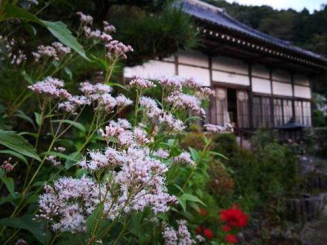 埼玉県秩父郡長瀞町井戸4176 金嶽山 法善寺の写真2