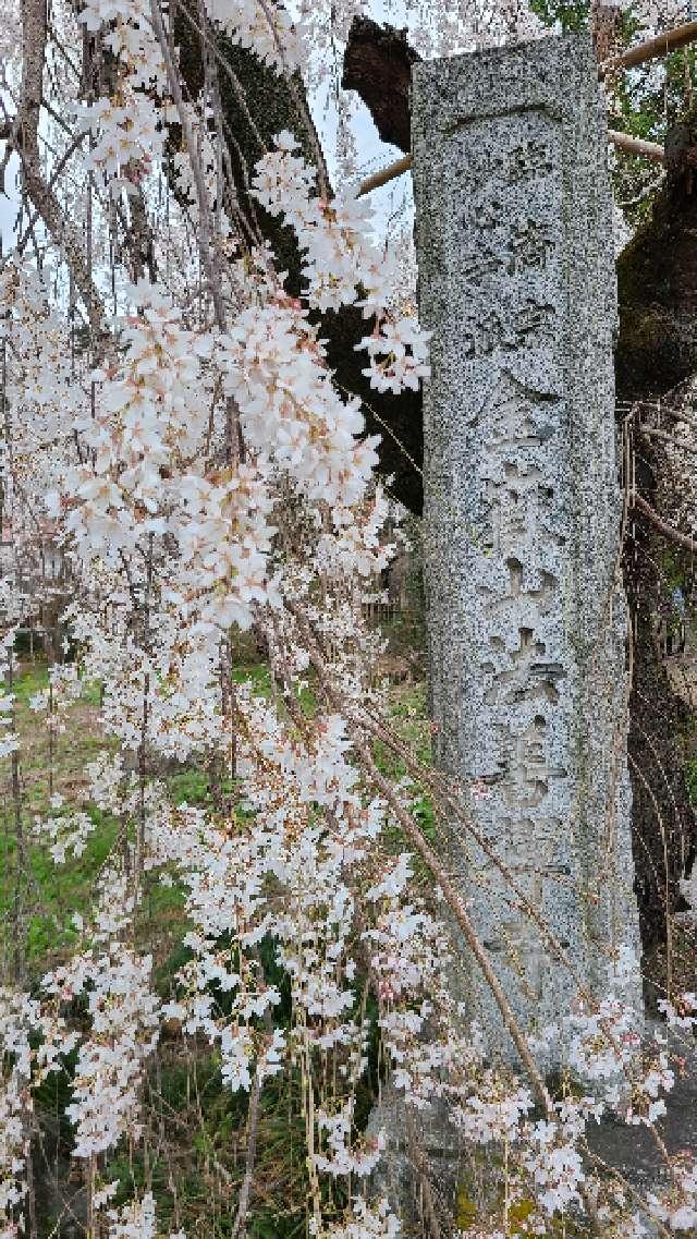 金嶽山 法善寺の参拝記録10