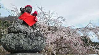 金嶽山 法善寺の参拝記録(たけちゃん⚾さん)