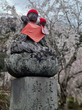 金嶽山 法善寺の参拝記録(たけちゃん⚾さん)