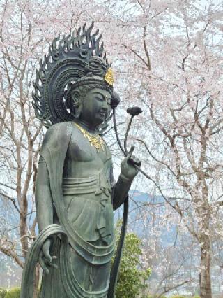 吉祥山 道光寺の参拝記録(たけちゃん⚾さん)