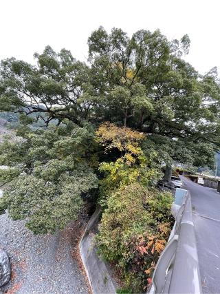 宇佐八幡神社の参拝記録(フクタロウさん)