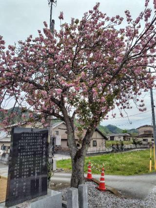 金玉山 観音院 多宝寺の参拝記録(zx14rさん)