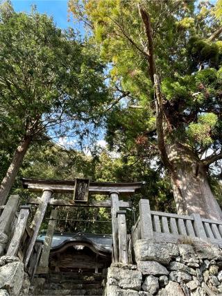 左手宮八幡神社の参拝記録(フクタロウさん)