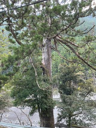宇奈為神社の参拝記録(フクタロウさん)