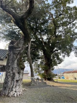 春日神社の参拝記録(フクタロウさん)