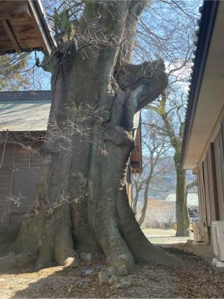 金刀比羅神社の参拝記録(フクタロウさん)