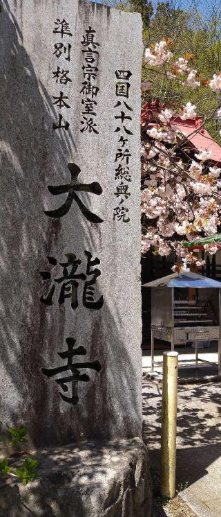 月神の宮　西照神社の参拝記録(金太郎さん)