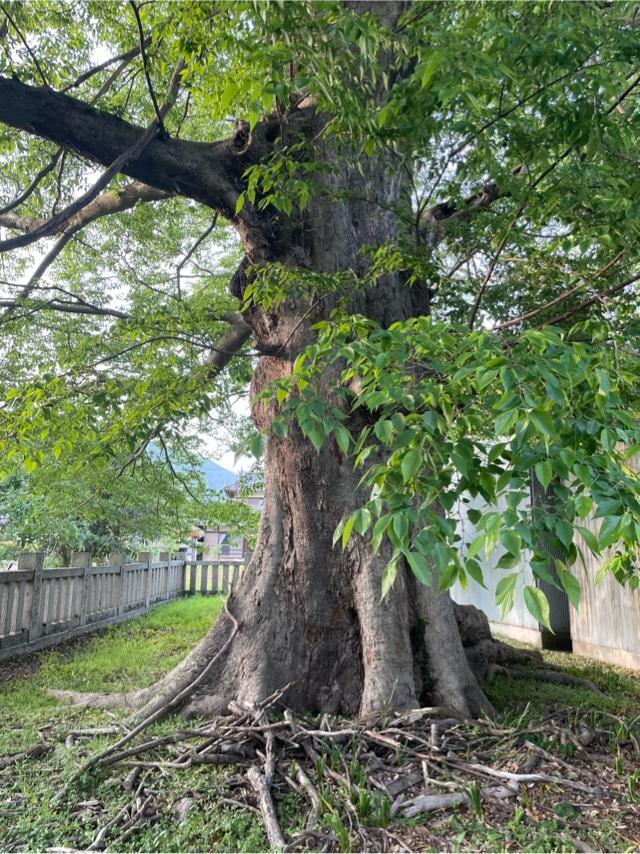 大宮神社の写真1