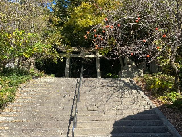 徳島県鳴門市撫養町木津字居屋敷1035 金刀比羅神社の写真3
