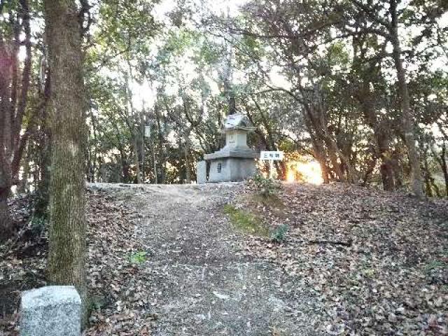 徳島県鳴門市大麻町池谷字西谷1 天河別神社の写真3