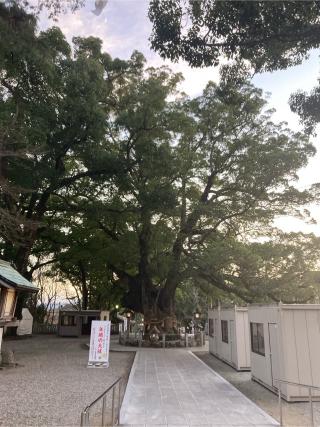 大麻比古神社の参拝記録(2224さん)