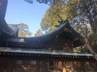 大麻比古神社の参拝記録(みつをさん)