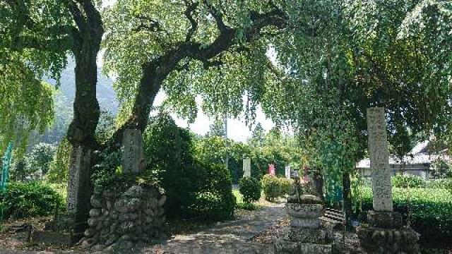 埼玉県秩父市荒川上田野557 笹戸山 長泉院の写真2