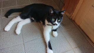 笹戸山 長泉院の参拝記録(こまさん)