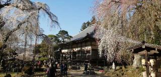 岩松山 清雲寺の参拝記録(さとみさん)
