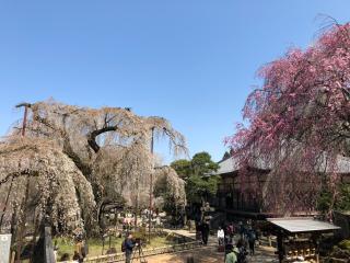 岩松山 清雲寺の参拝記録(ともりんさん)