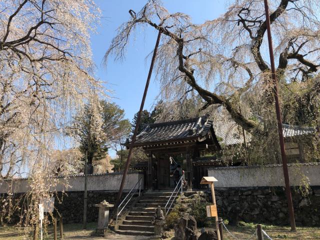 埼玉県秩父市荒川上田野690 岩松山 清雲寺の写真2