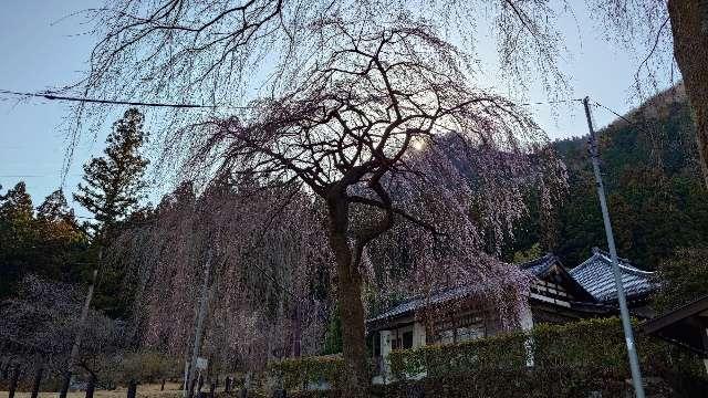 岩松山 清雲寺の参拝記録5