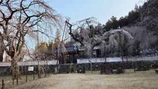 岩松山 清雲寺の参拝記録(アリケンさん)