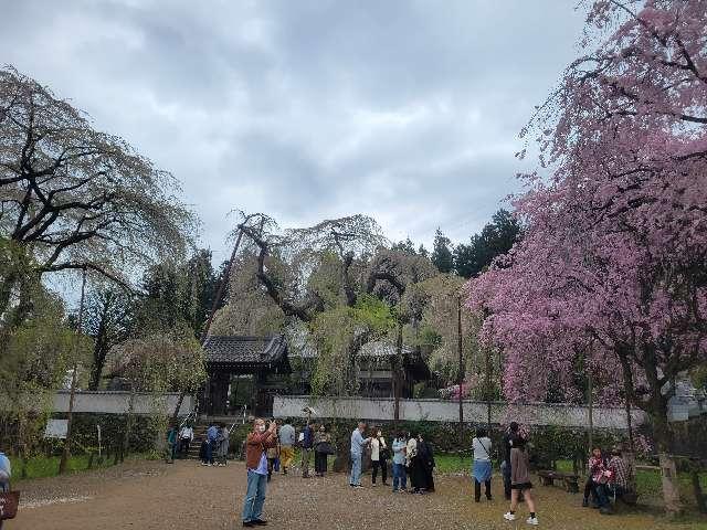 岩松山 清雲寺の参拝記録4