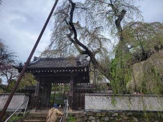 岩松山 清雲寺の参拝記録(まっきーさん)