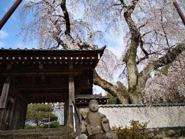 埼玉県秩父市荒川上田野690 岩松山 清雲寺の写真1