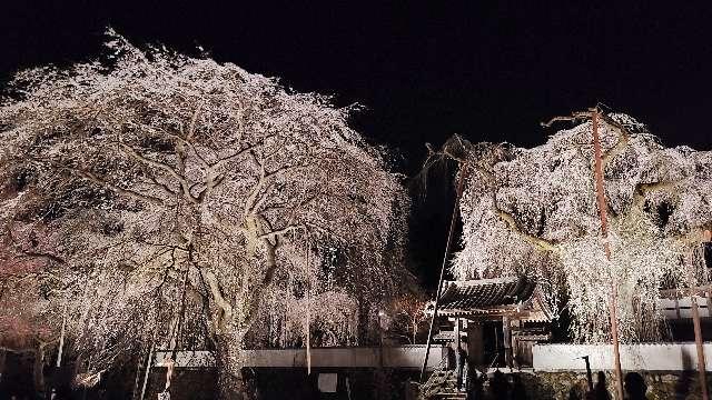 岩松山 清雲寺の参拝記録6