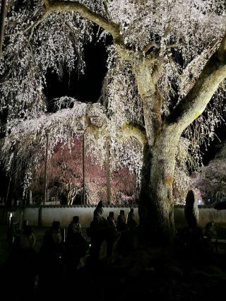 岩松山 清雲寺の参拝記録(たけちゃん⚾さん)