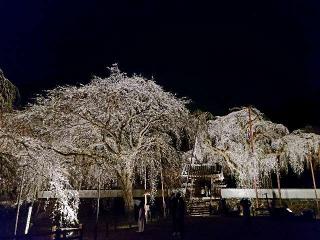 岩松山 清雲寺の参拝記録(たけちゃん⚾さん)