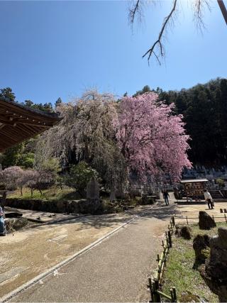 岩松山 清雲寺の参拝記録(ガーネットさん)
