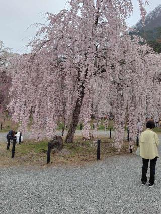 岩松山 清雲寺の参拝記録(がっちゃん3さん)