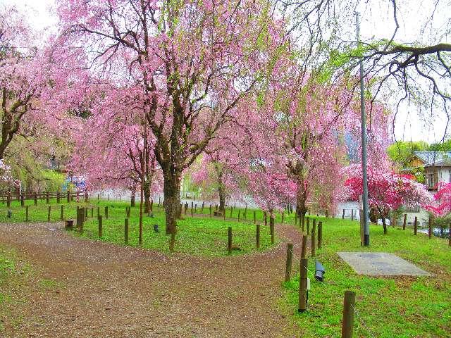 岩松山 清雲寺の参拝記録8
