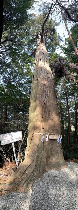 羽落神社の参拝記録(フクタロウさん)