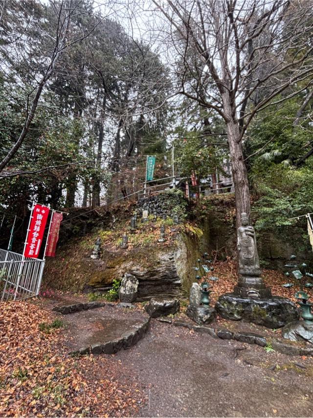 大棚山 真福寺の参拝記録3