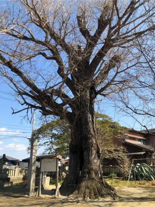 五所神社の参拝記録(フクタロウさん)