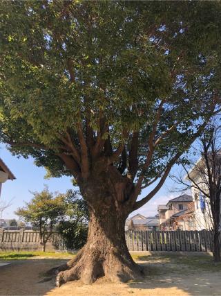 五所神社の参拝記録(フクタロウさん)