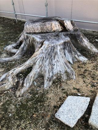 杉尾神社の参拝記録(フクタロウさん)