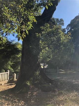 敷島神社の参拝記録(フクタロウさん)