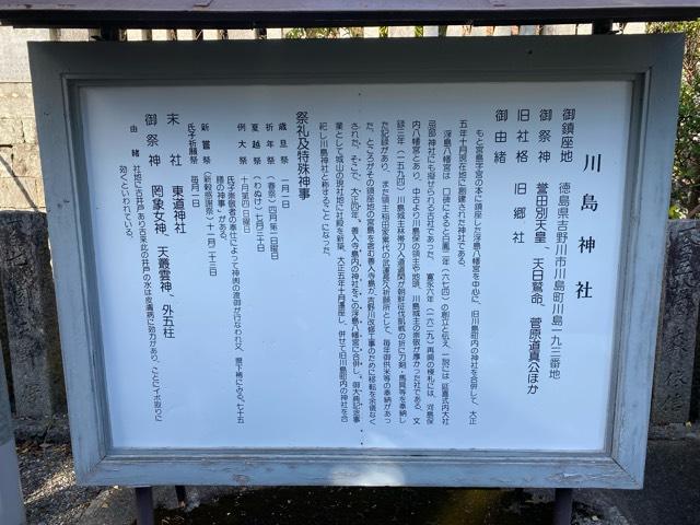 徳島県吉野川市川島町川島193ｰ1 川島神社の写真5