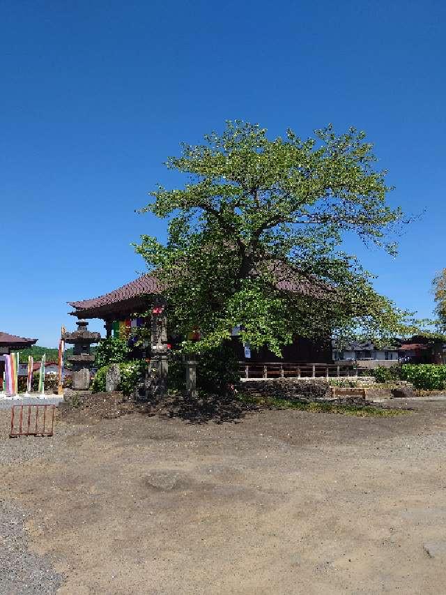 飛淵山 龍石寺の参拝記録4