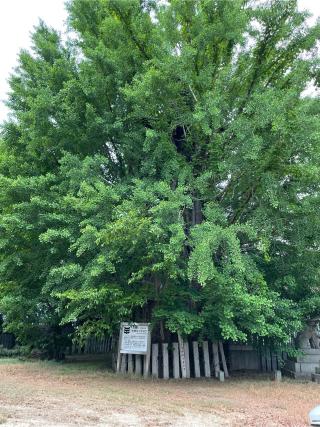 新宮本宮両神社の参拝記録(フクタロウさん)