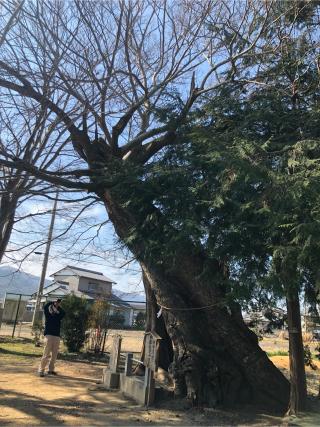 多祁御奈刀弥神社の参拝記録(フクタロウさん)