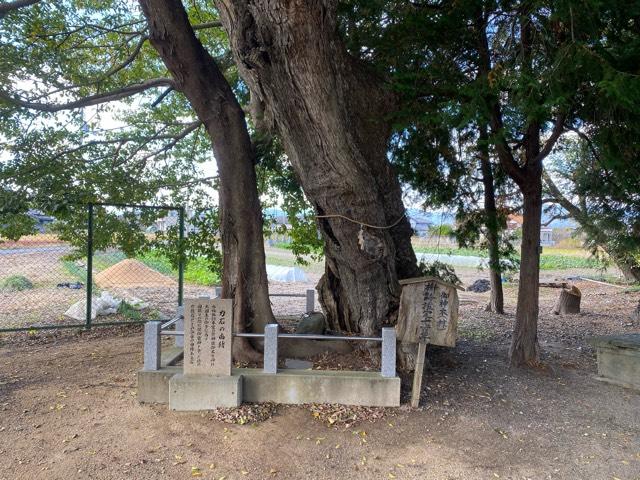 徳島県名西郡石井町浦庄字諏訪213-1 多祁御奈刀弥神社の写真8