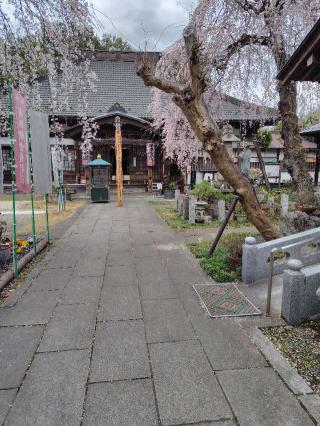 無量山 西光寺の参拝記録(がっちゃん3さん)