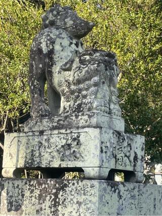 南陽神社の参拝記録(フクタロウさん)