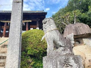 鶴尾神社の参拝記録(飛成さん)