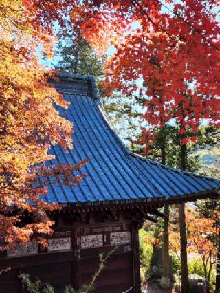 誦経山 四萬部寺の参拝記録(たけちゃん⚾さん)